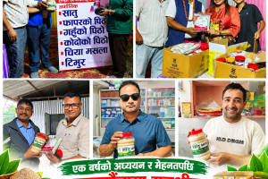 एक वर्षको अध्ययन र मेहनतपछि सुन्दरहरैंचामा मनुश्रीका अर्गानिक उत्पादन बजारमा